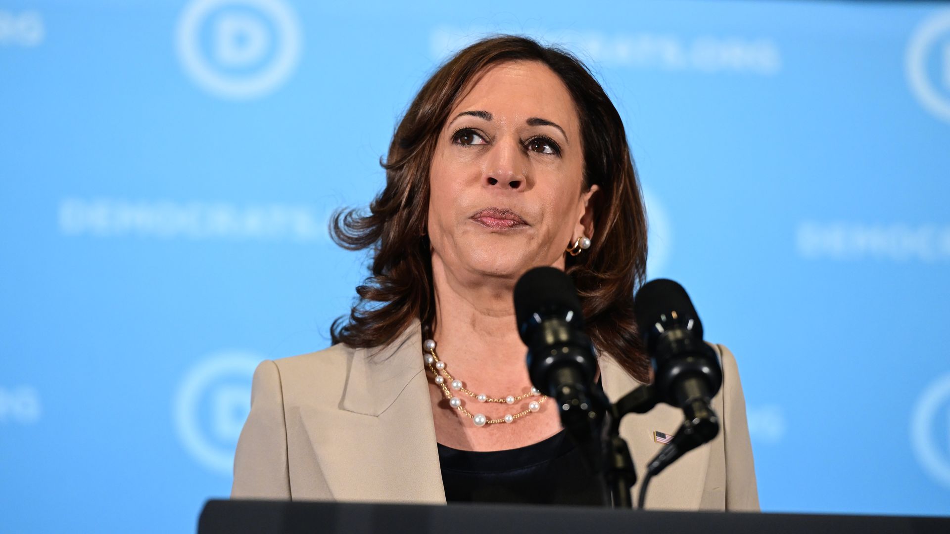 Kamala Harris speaks during the Democratic National Committee summer meeting 