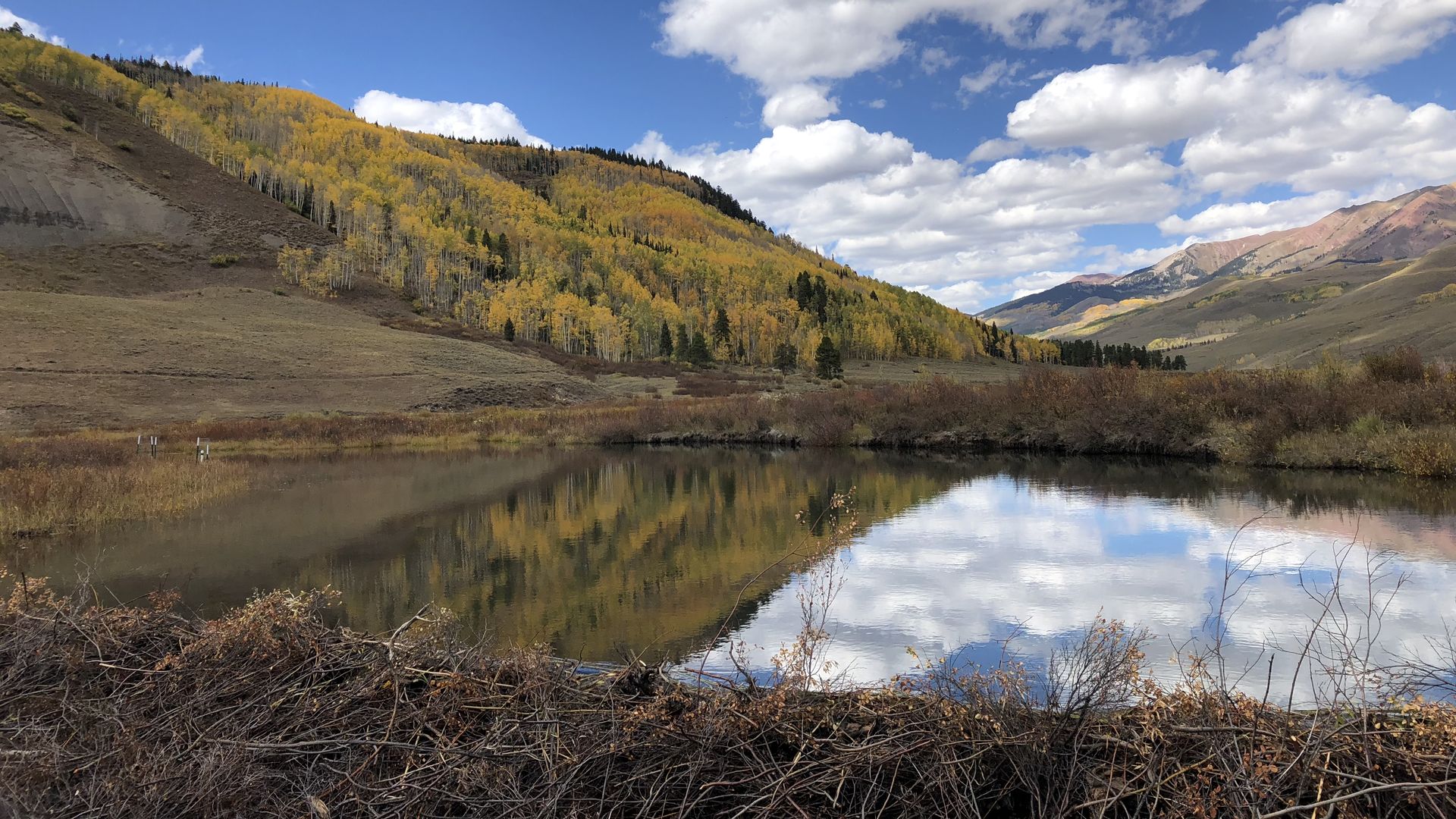 Ponding from a beaver dam in the mountains