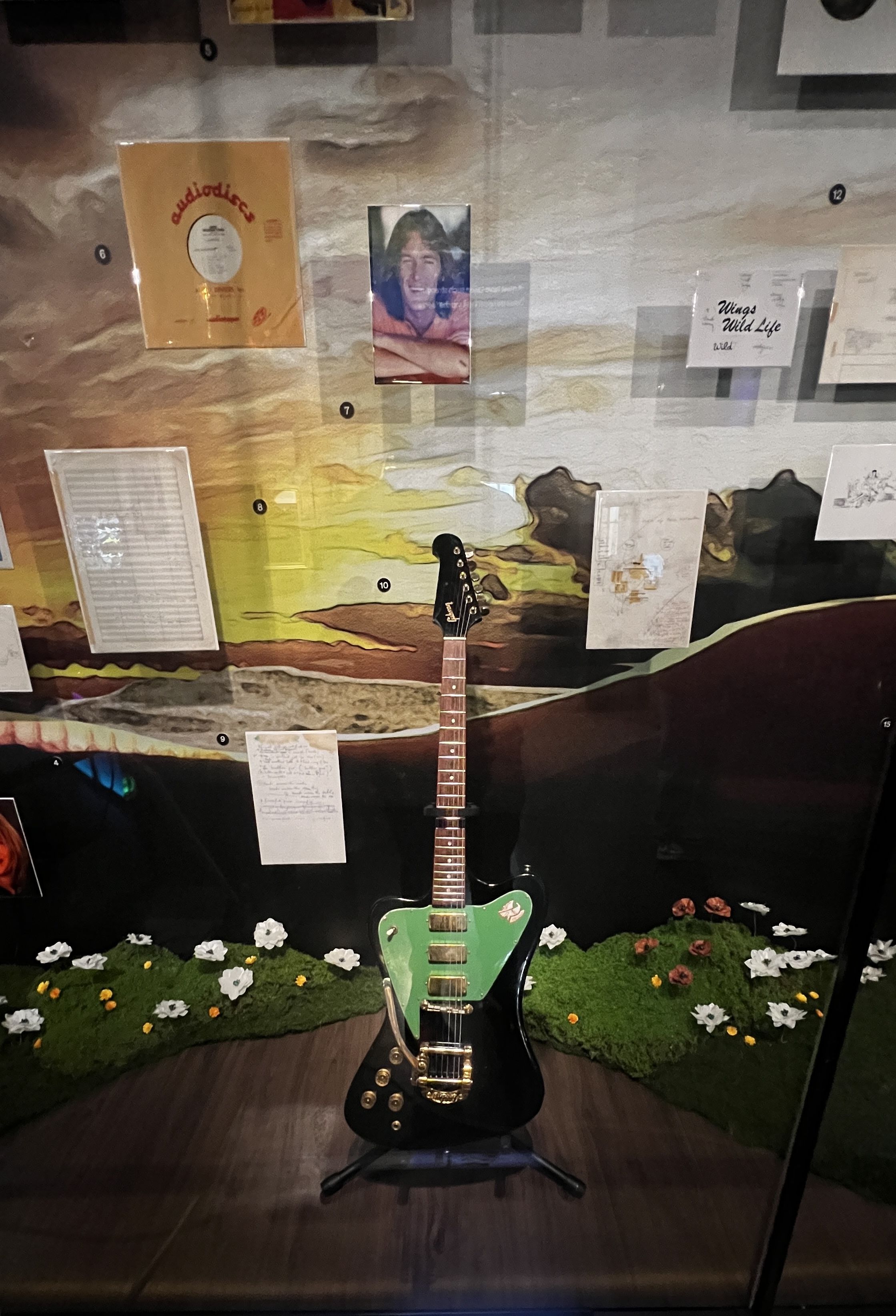 Display case shows a black electric guitar with a green pickguard on a stand, in front of a desert mural. Posters and photos line the wall, with green grass and white flowers at the base.
