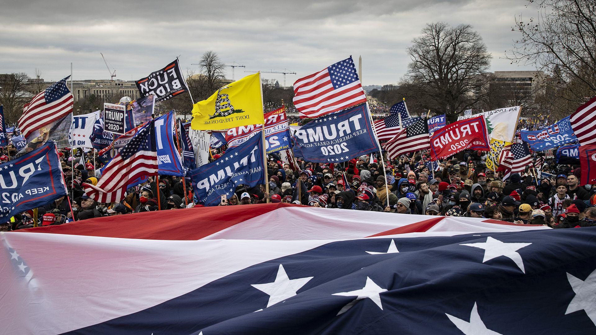 Photo of a giant American flag flying over a crowd of pro-Trump supporters at the Capitol