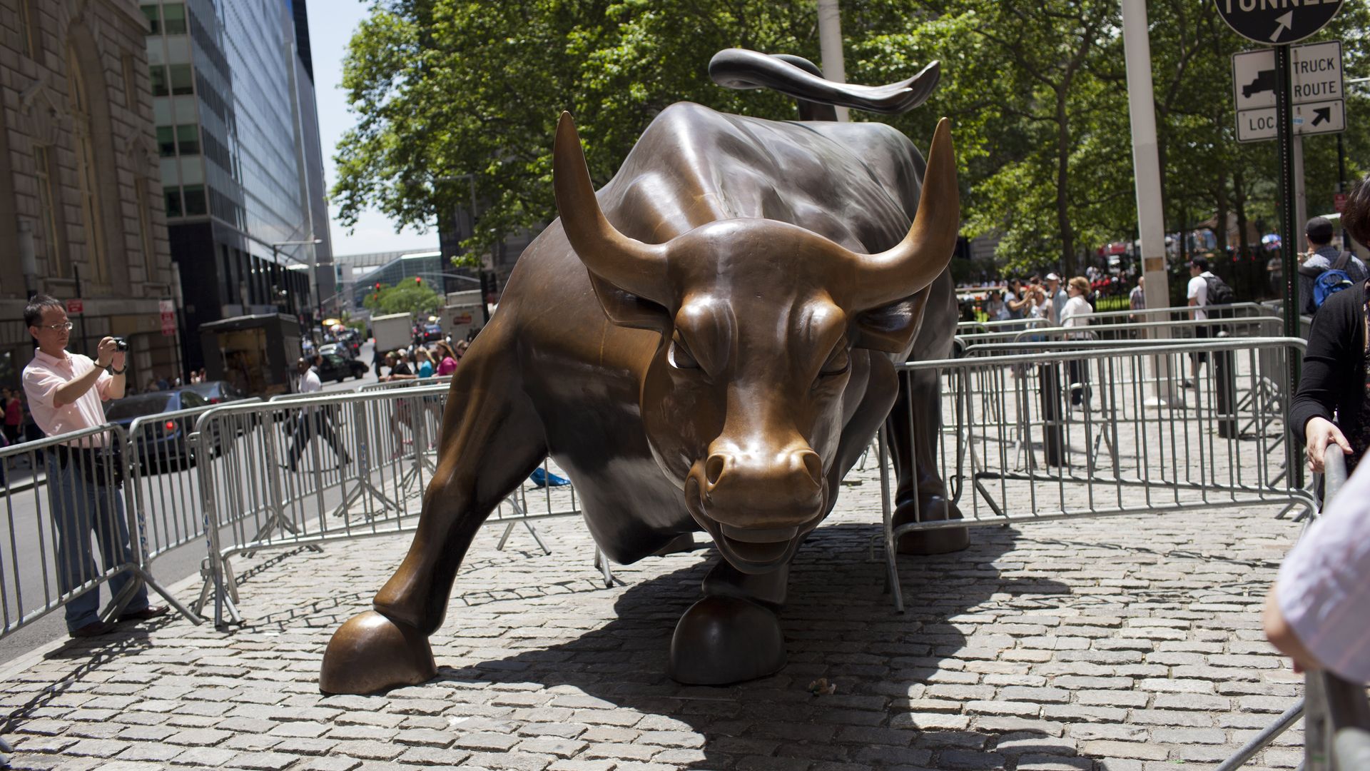 Wall Street Bull
