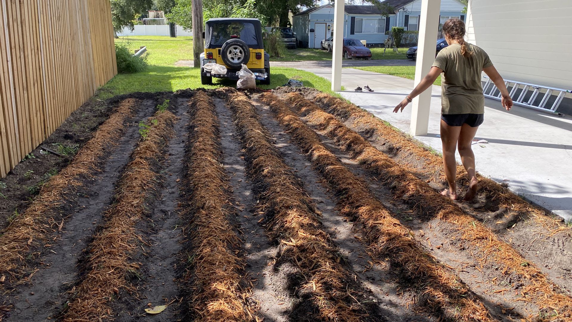 A row of fertilized seedlings in Ben's garden in Seminole Heights.