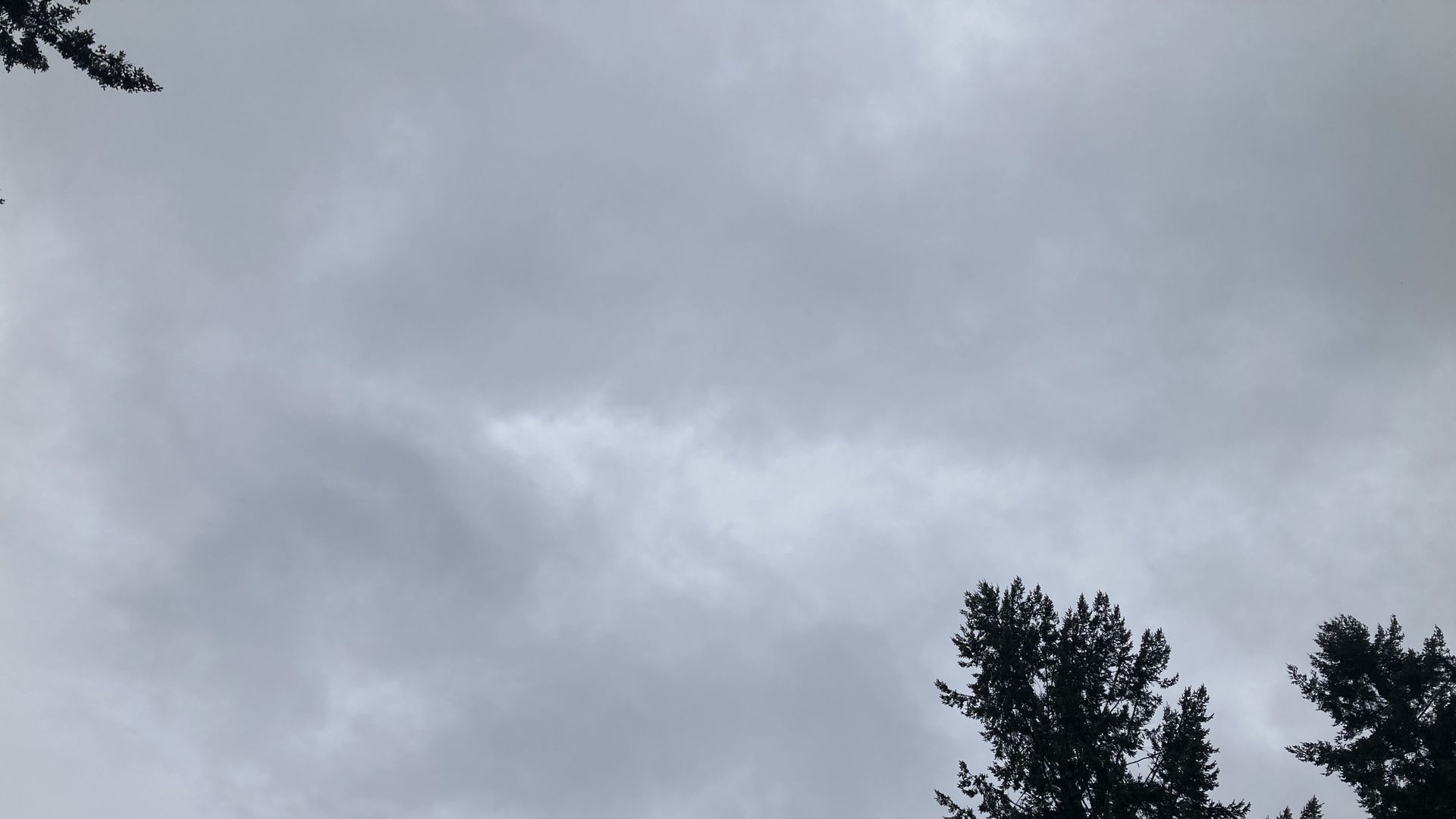 A photo of a completely gray and cloudy sky in Seattle when others got to see an eclipse. 