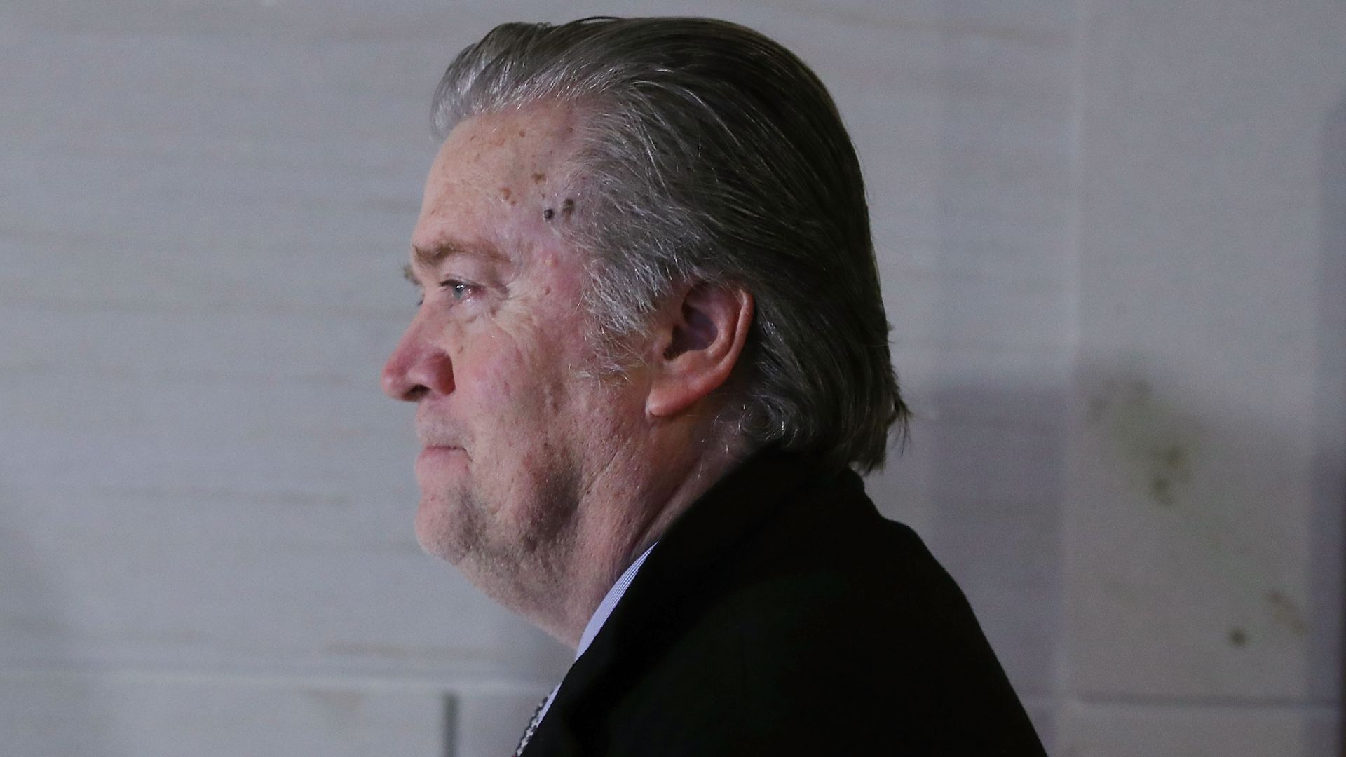 Steve Bannon in profile