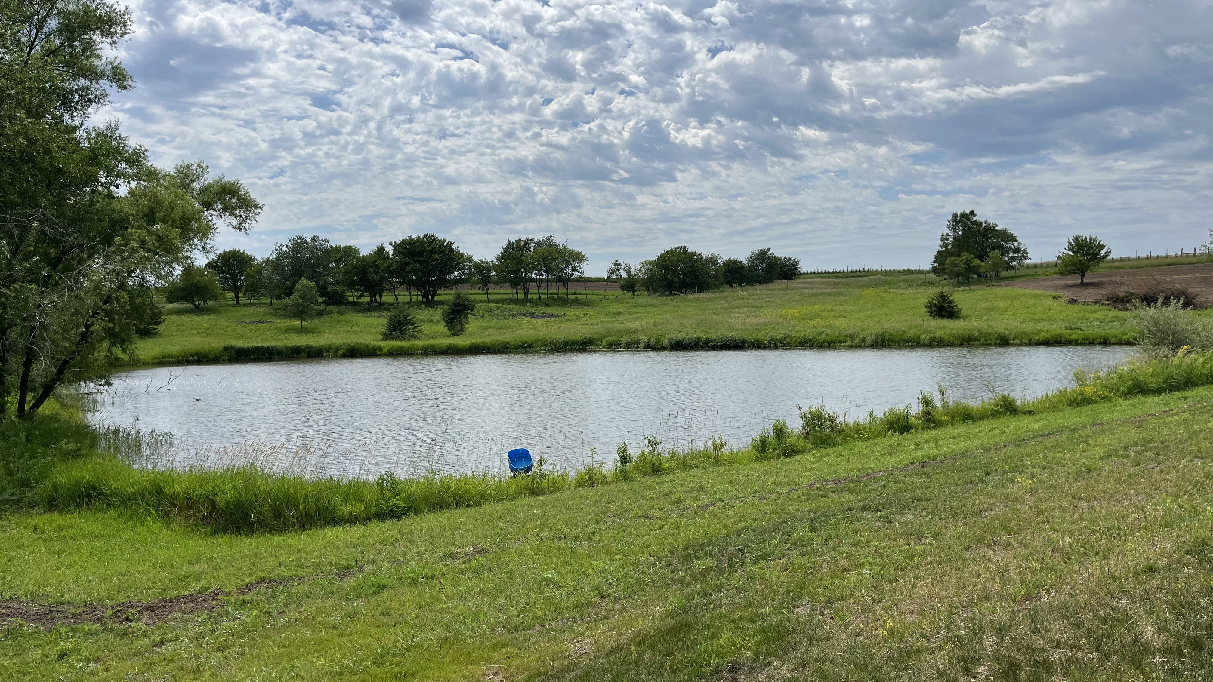 A retention pond at Wilson's Orchard