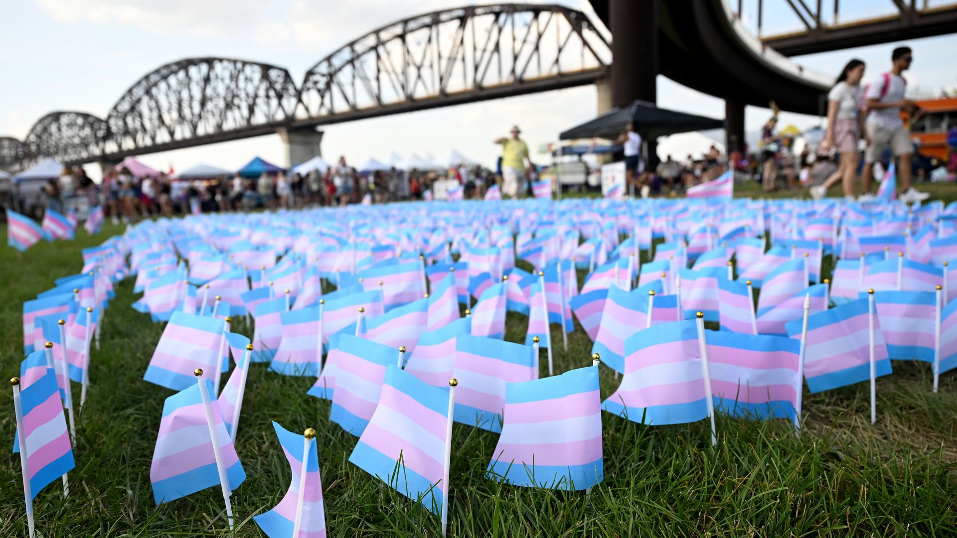 Transgender flags during the 25th Anniversary Kentuckiana Pride Festival in June.