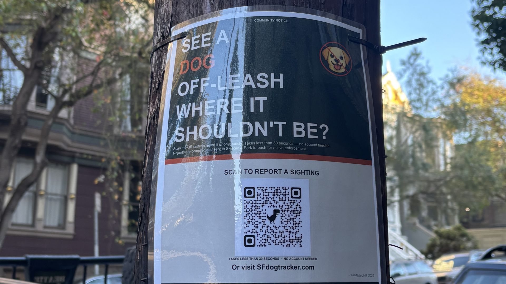 Wood utility pole with a posted flyer reading "SEE A DOG OFF-LEASH WHERE IT SHOULDN'T BE?" featuring a dog icon and a QR code; urban street with parked cars and trees in daylight.