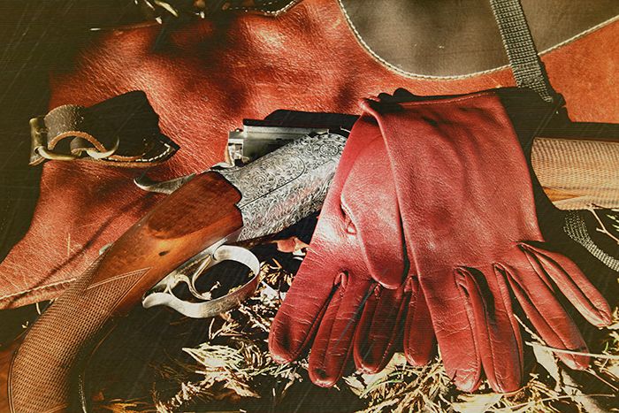 Fitzgerald-morrell-Cicilla