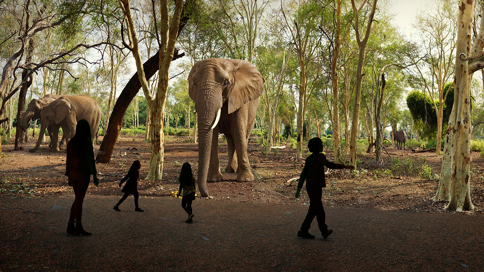 imaginarium atlanta safari