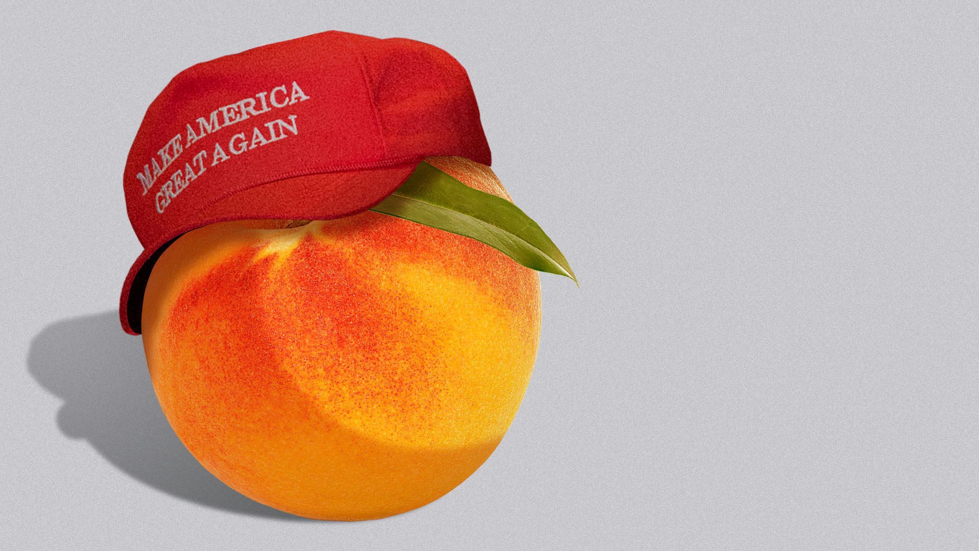 Peach with MAGA hat on
