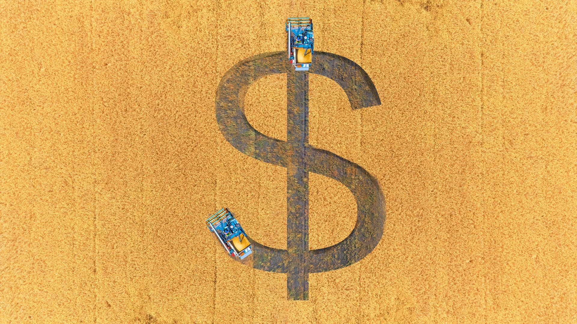Illustration of combine harvesters making a dollar sign in a field.