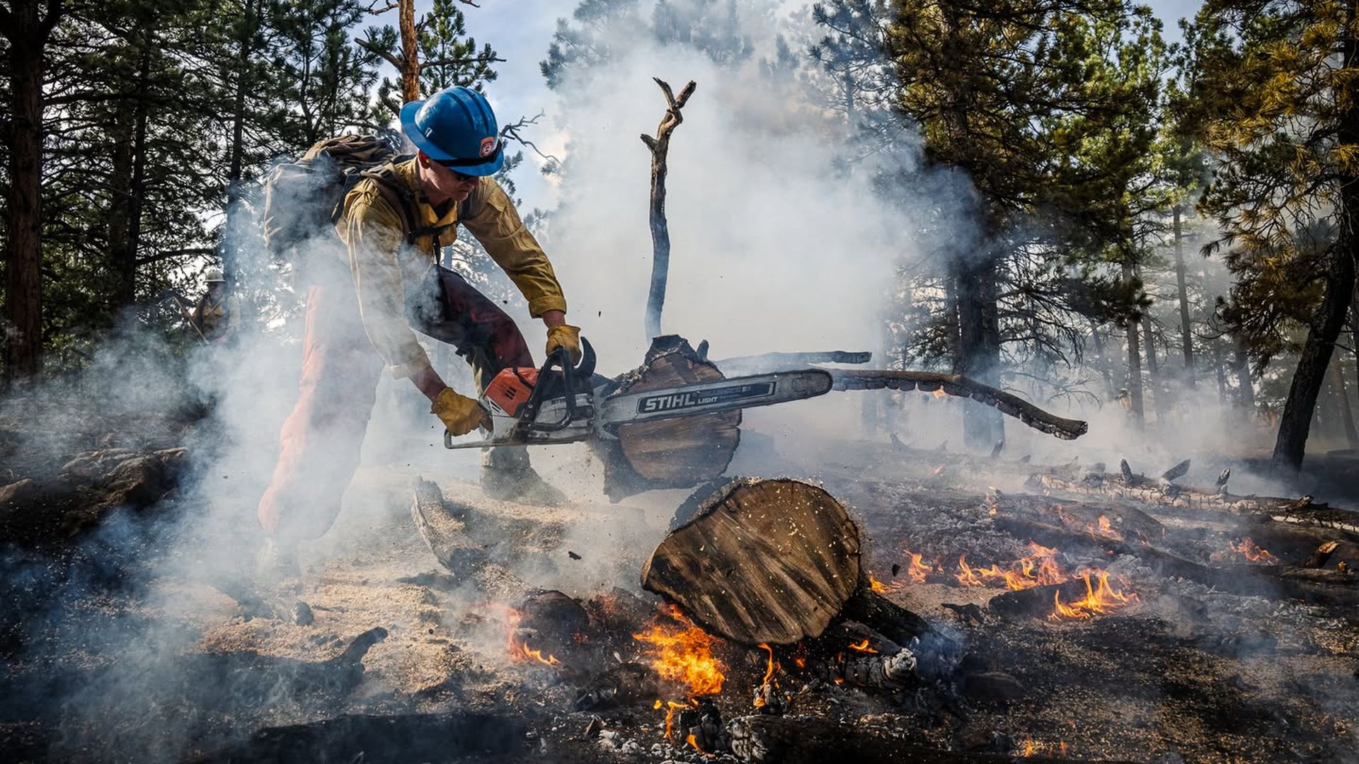 Firefighter in yellow gear and blue helmet uses chainsaw to cut burning logs on forest floor with smoke and flames amidst tall pine trees under cloudy sky.