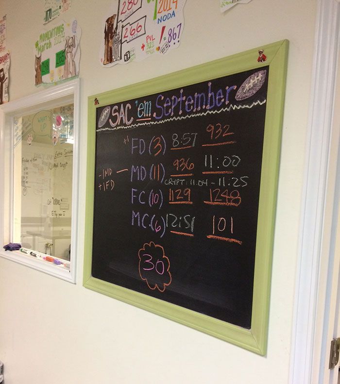 monthly-stats-at-spay-neuter-charlotte