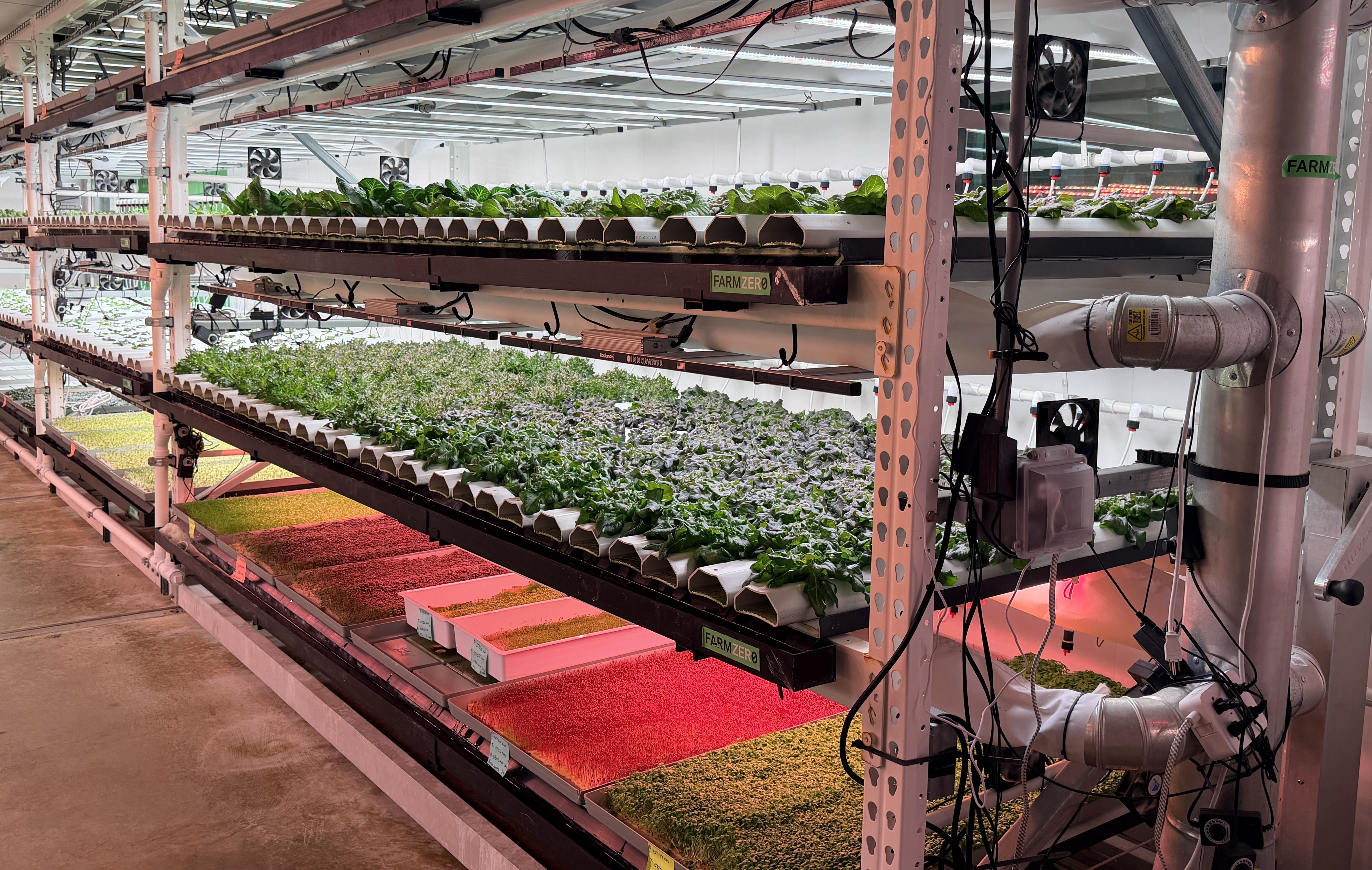 Interior vertical farm with multi-tier hydroponic racks growing lettuce in white troughs under red LED lights; exposed piping, fans, and a "FARM ZERO" label on the steel framework.