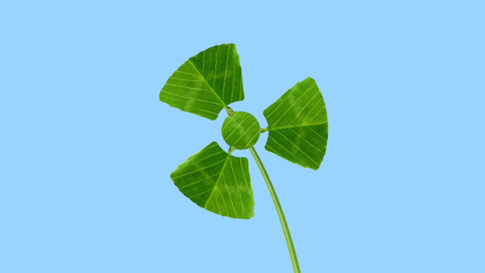 In this illustration, a three leaf clover is shaped like a nuclear power symbol.