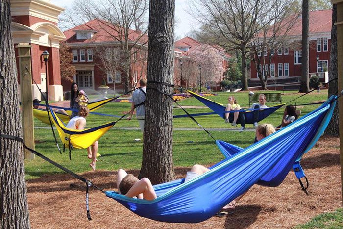 Hammocks-on-the-Queens-Quad