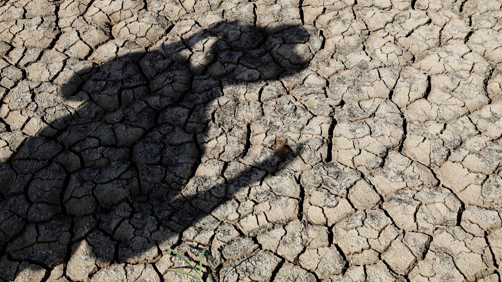 Photo of a shadow standing over drought-stricken land