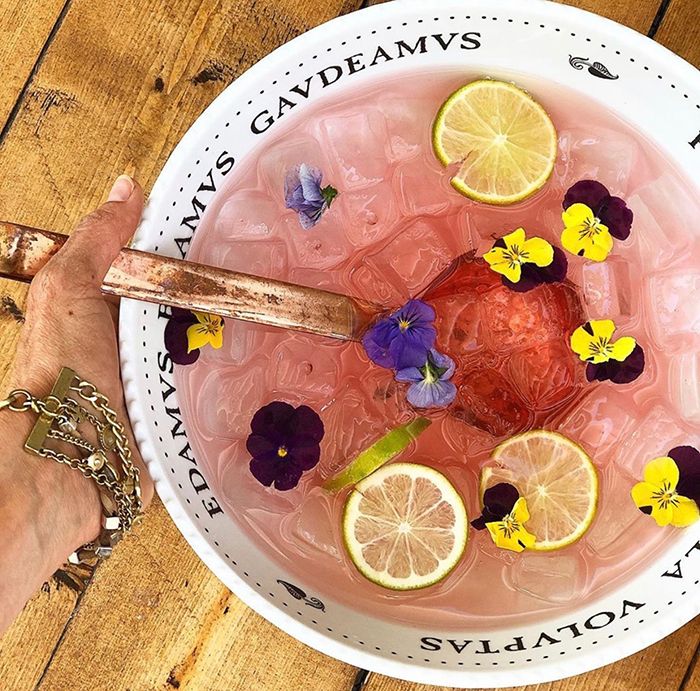 haberdish pandemic cocktail kit