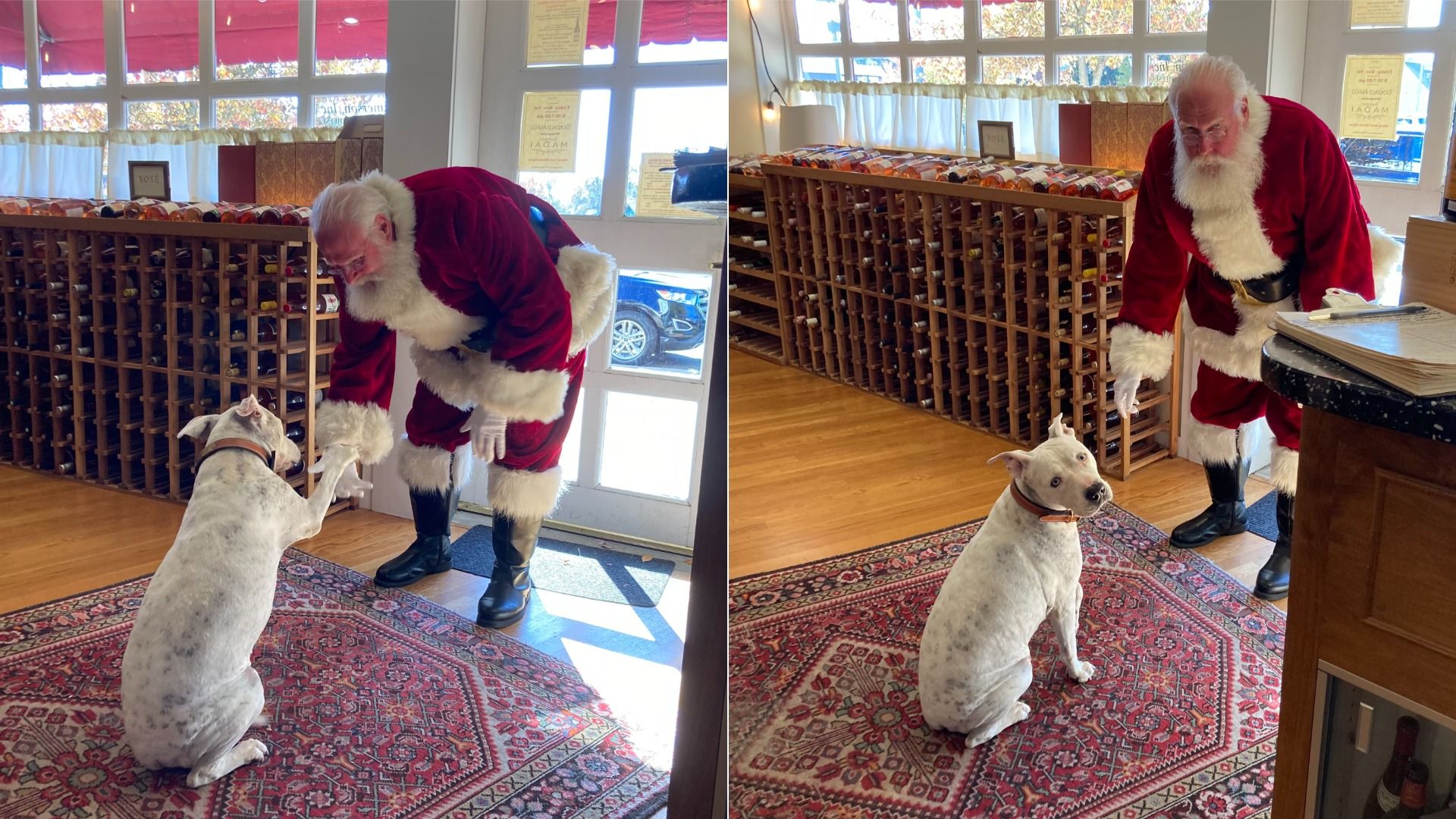 side by side pics of a dog meeting santa