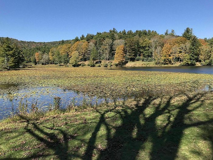 Bass Lake Loop Trail fall