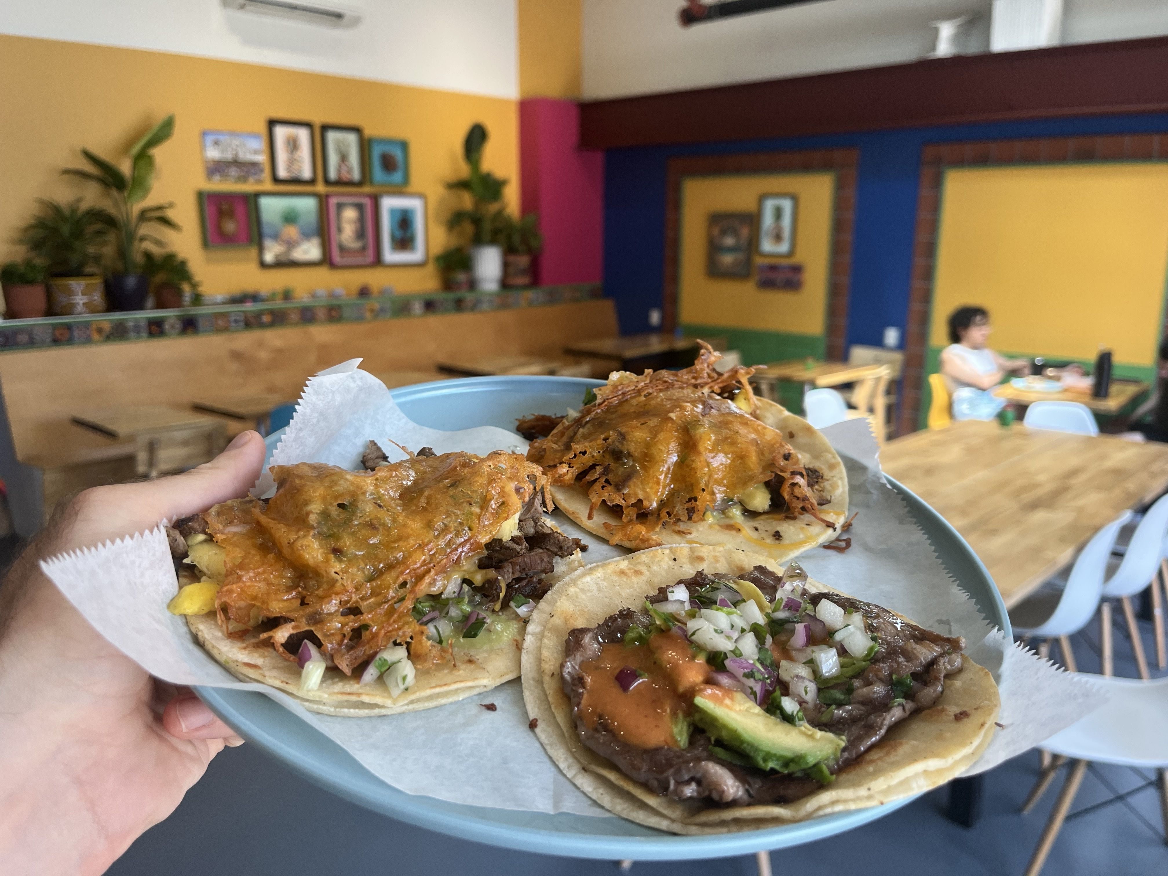 Beef tacos with onions and cilantro on a blue plate held in a hand; colorful cafe interior with yellow walls, framed art, plants, and a person seated at a table in the background.