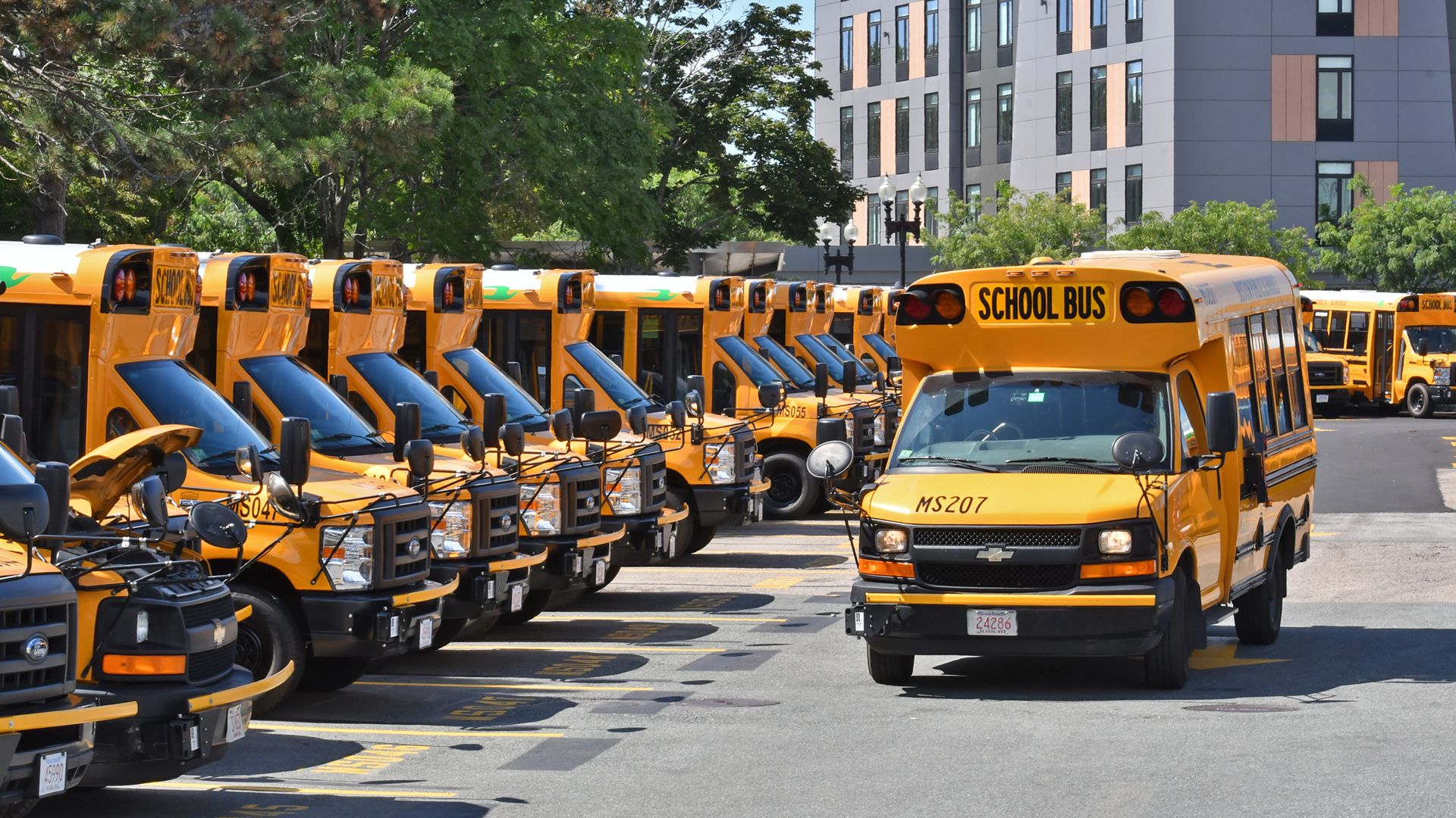 School buses on a lot at Washington St. and Melnea Cass Blvd. August 29, 2019 in BOSTON, Massachusetts.