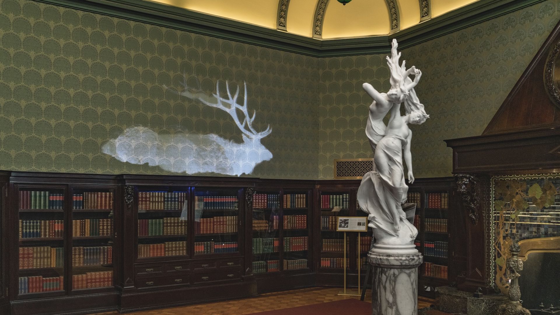 A wallpapered wall with a projected elk on the wall above book shelves with a classic statue in the center.