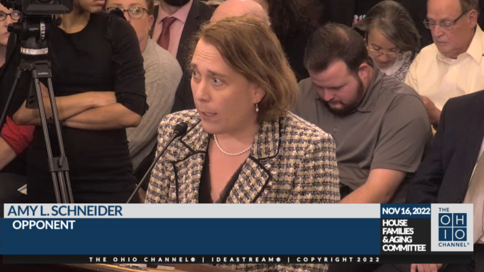 Jeopardy! champion Amy Schneider testifies during an Ohio House committee hearing.