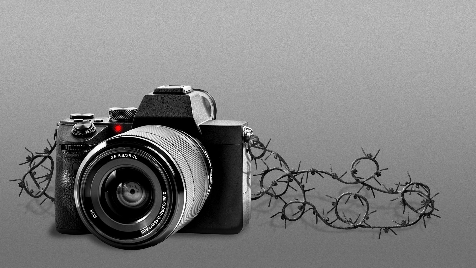 Illustration of a camera with a strap made out of barbed wire