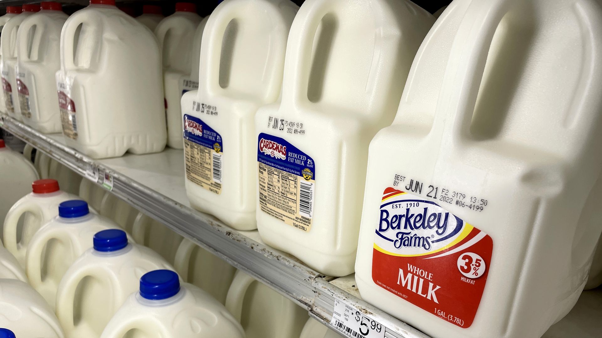 A shelf of milk jugs.