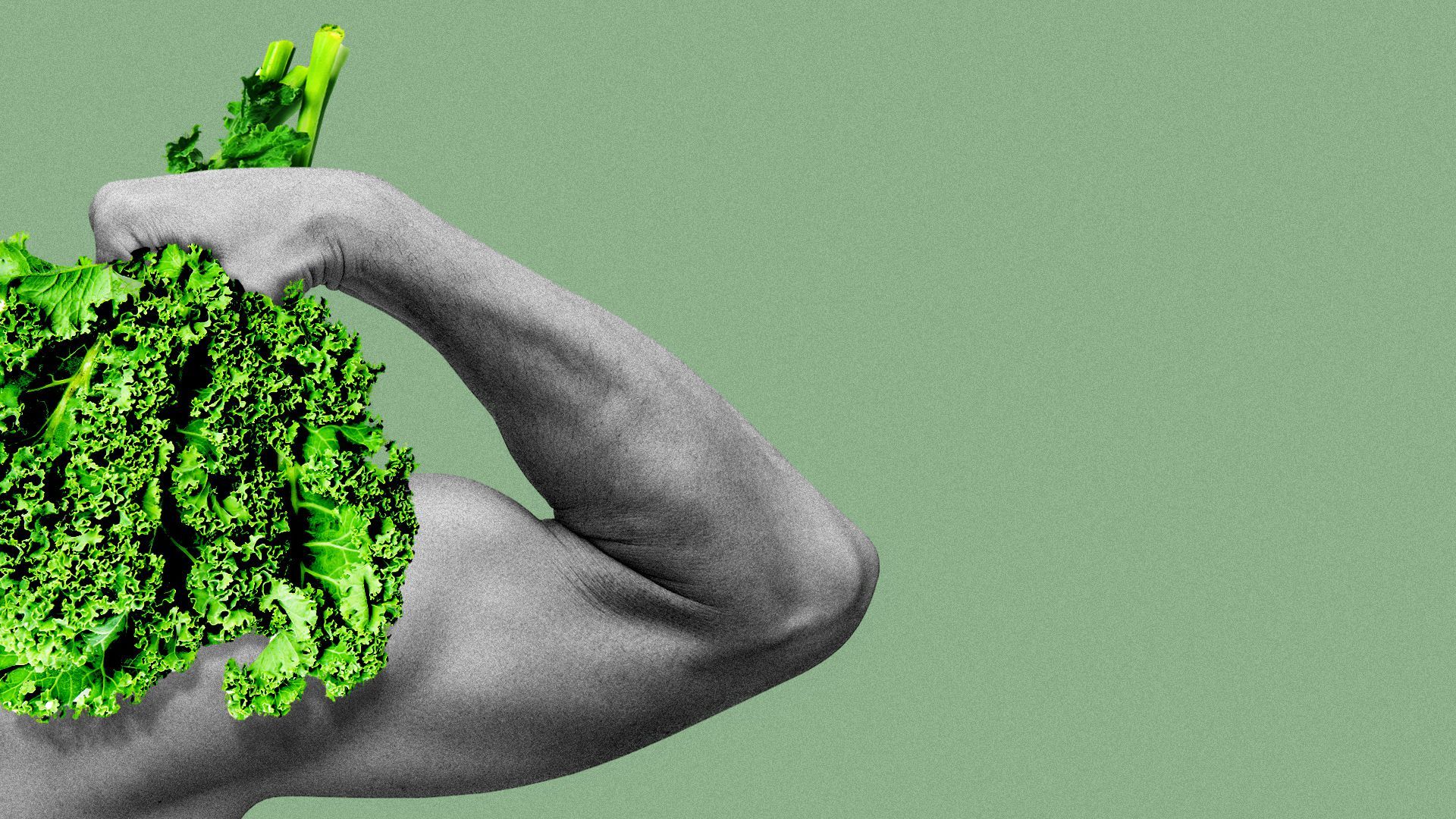 Illustration of a muscular arm holding a bunch of kale.