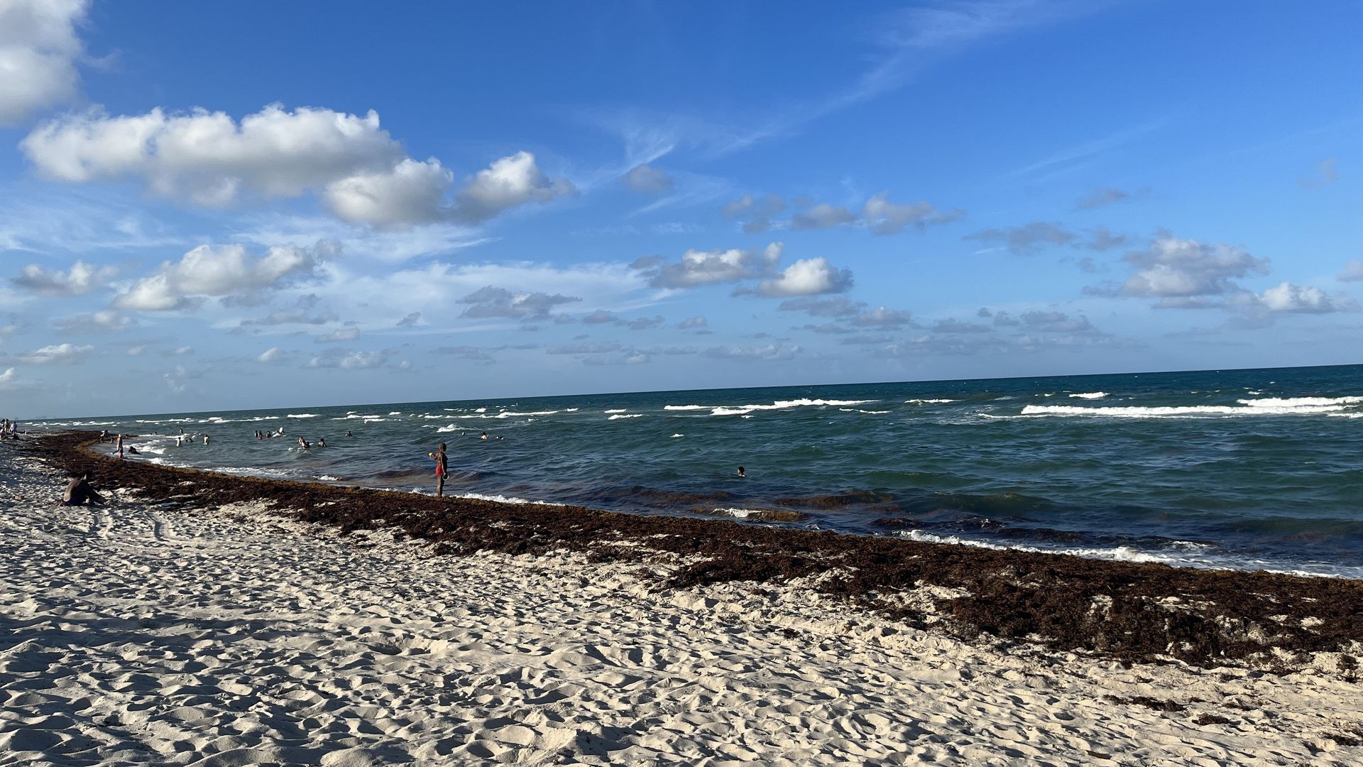 Sargassum seaweed is pictured along the beach in Miami Beach.