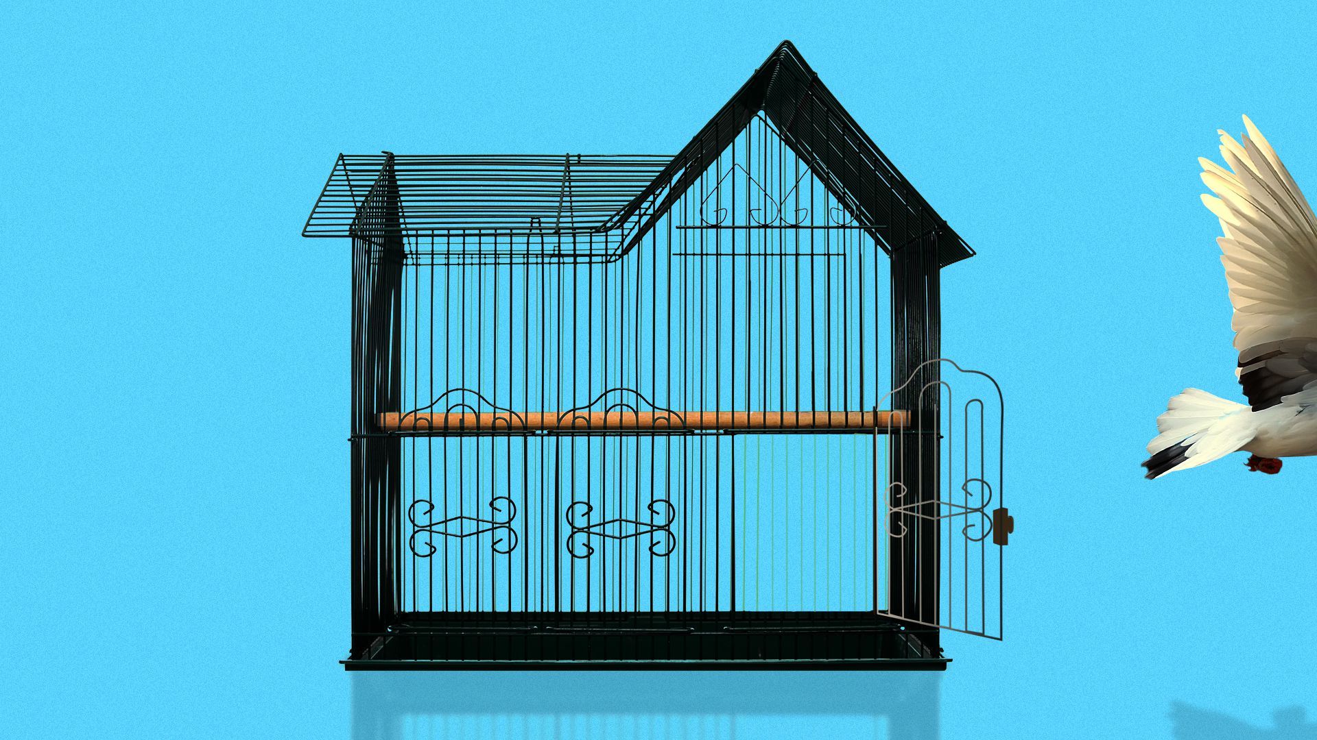 Illustration of a bird flying away from an open cage shaped like a house