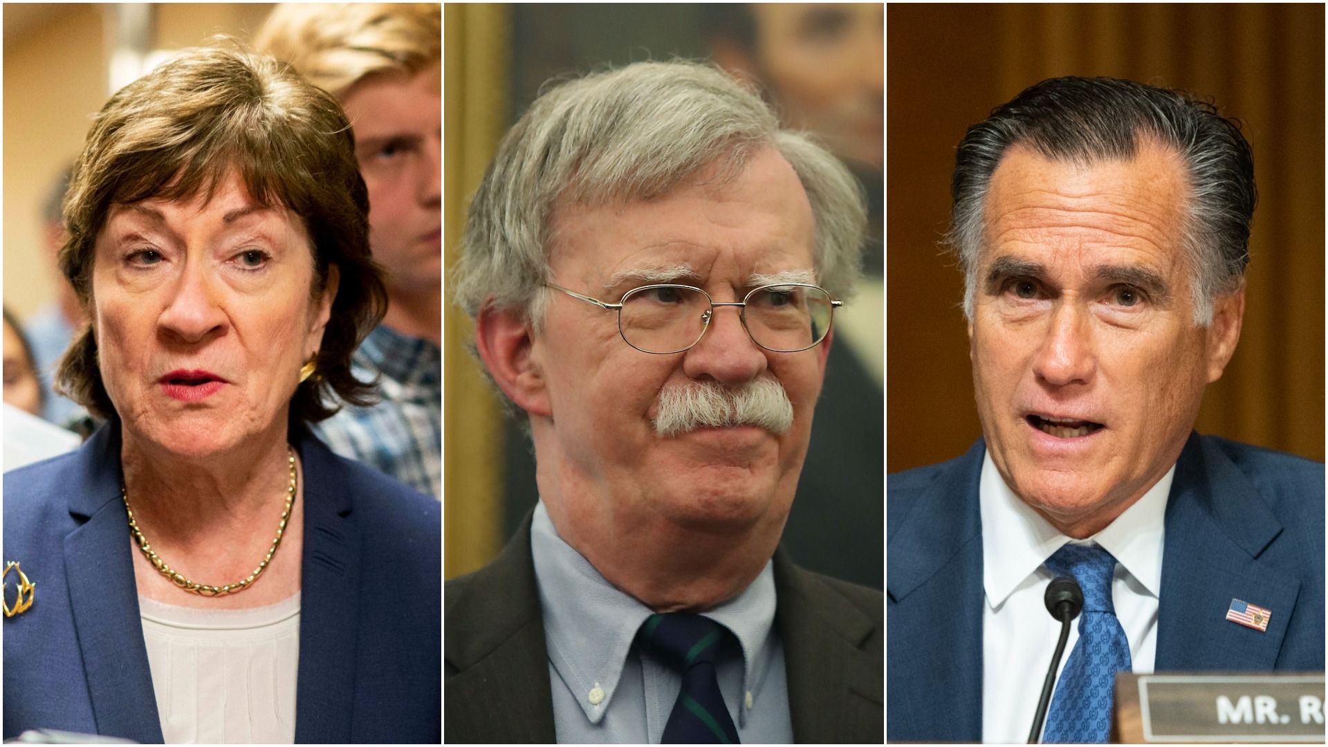 This photo shows adult humans