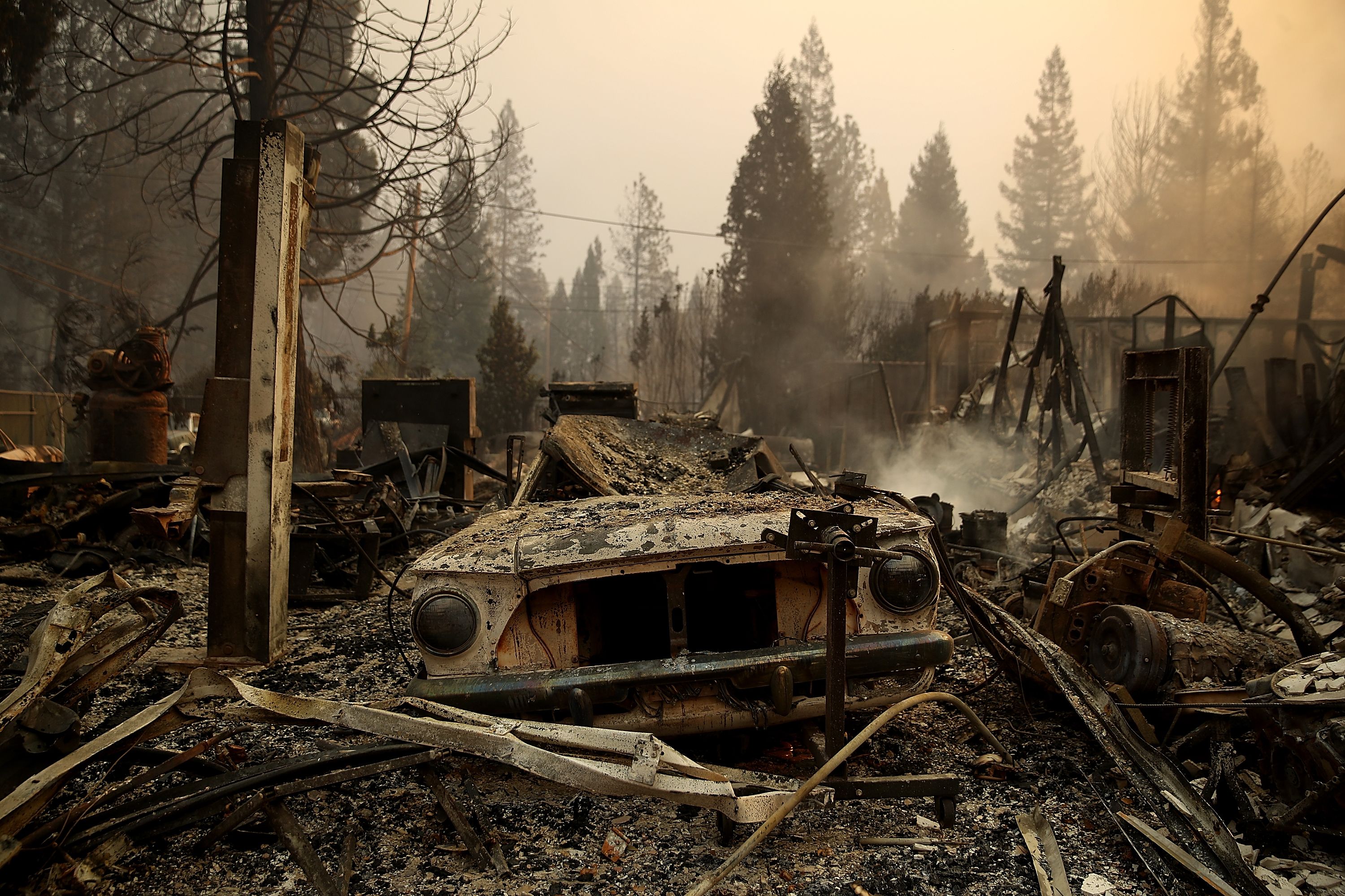 Почему после пожаров. Лес после пожара. Развалины после пожара. Пепелище в лесу.