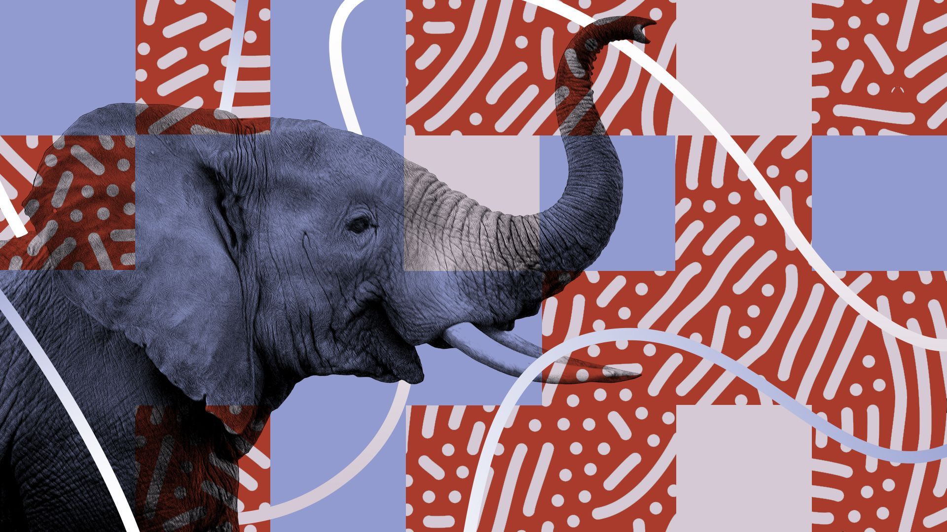 Illustration of an elephant on a virus-themed background, surrounded by abstract squares and a line going all around the image indicating chaos.