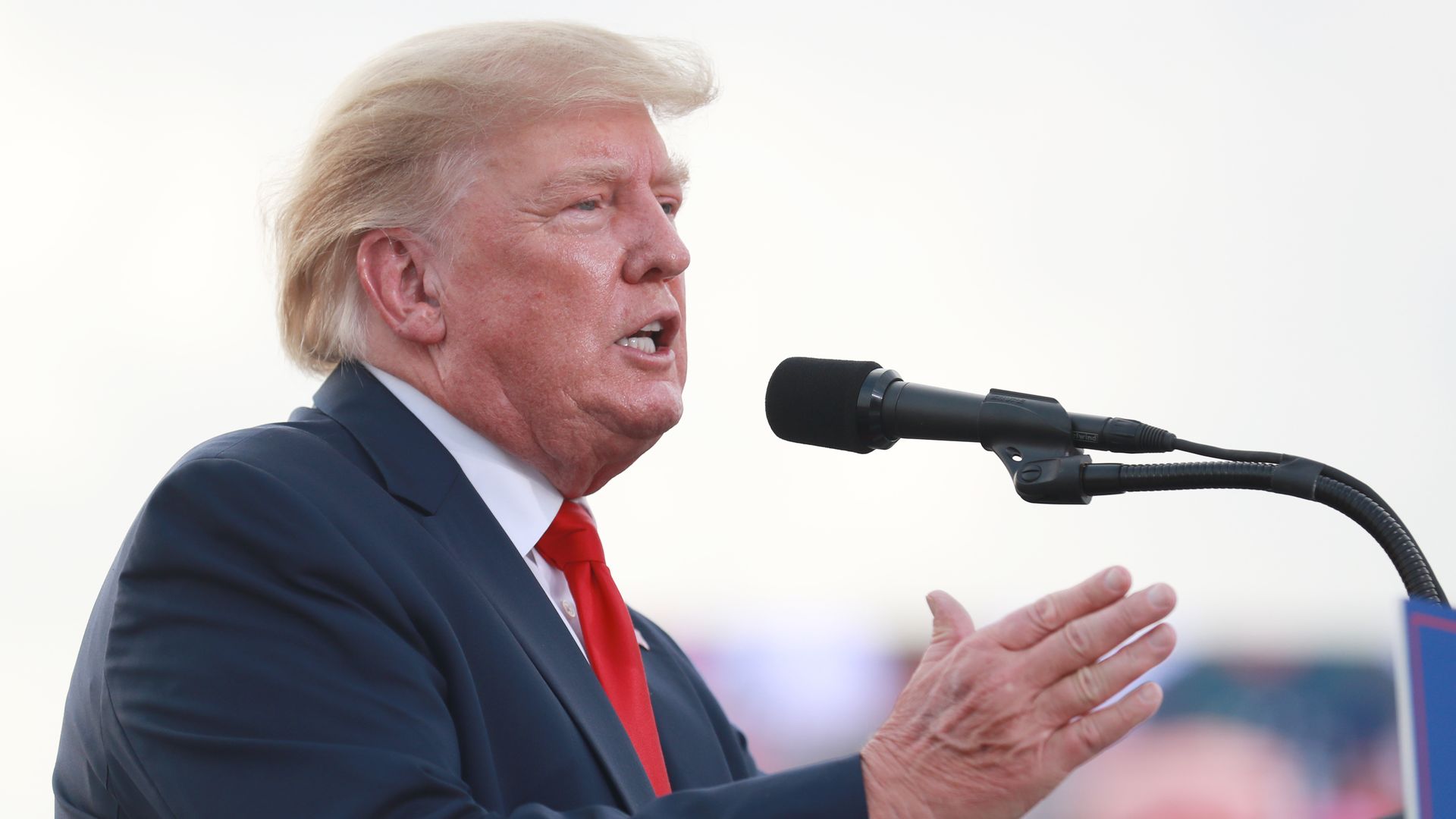 Picture of Donald Trump