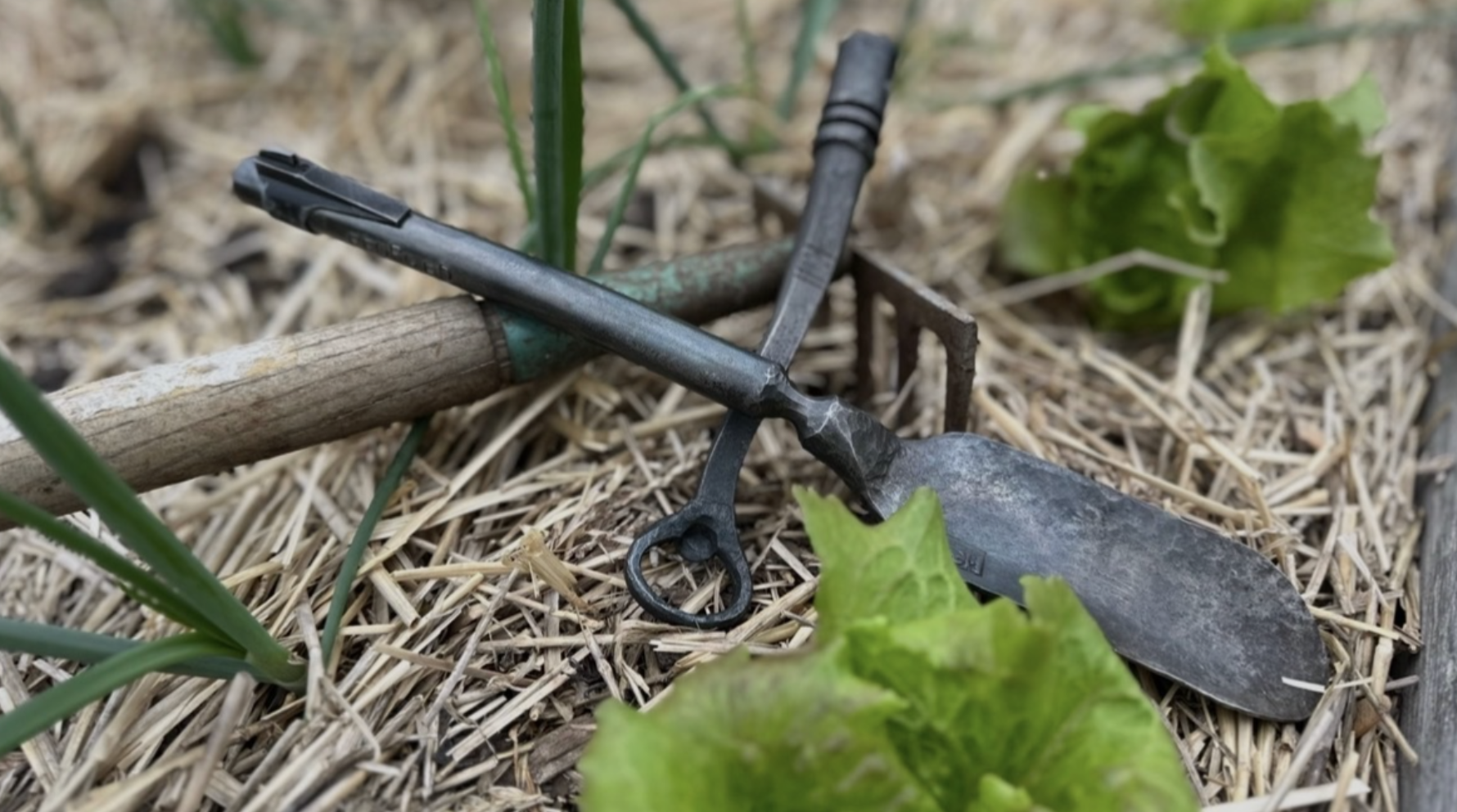 Close-up of gray metal pruning shears resting on tan straw mulch, surrounded by green stems and a wooden stake in a garden bed.