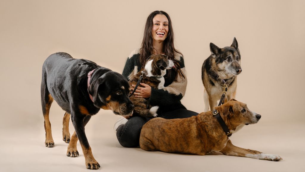 Startup developing pill intended to help large dogs live longer Axios