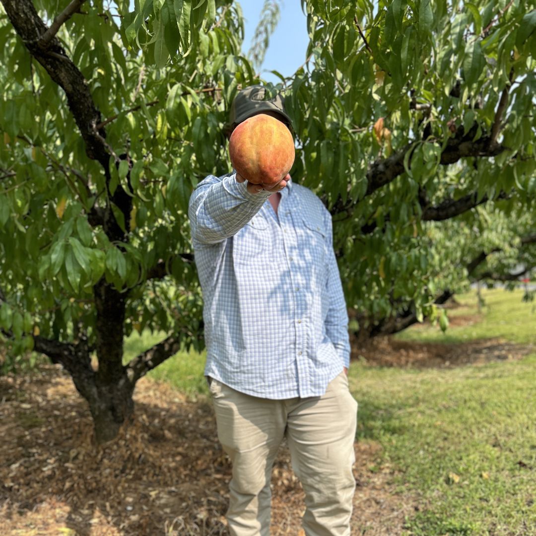 This 1.83-pound peach just broke a world record - Axios Richmond
