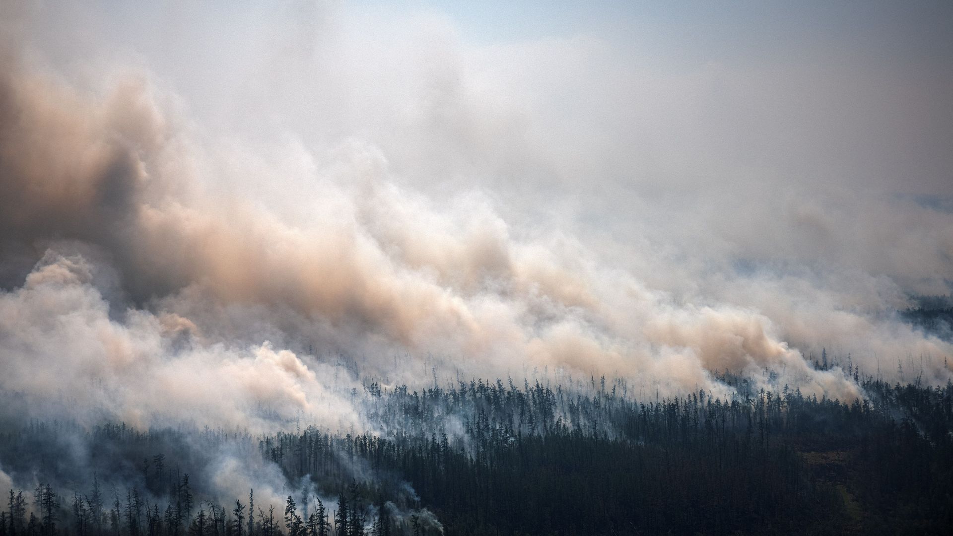 Aerial photo of wildfires in Siberia in 2021.