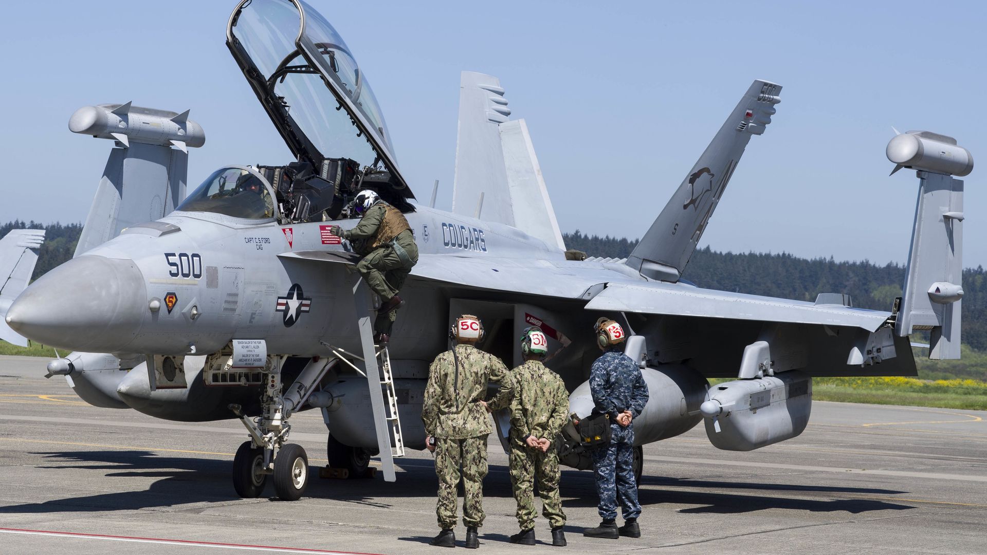 Growler EA-18 aircraft