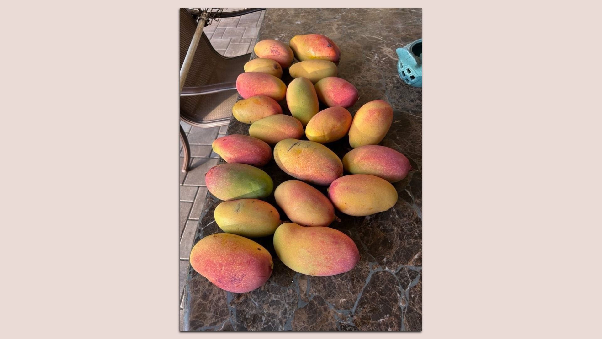 Mangos on a table