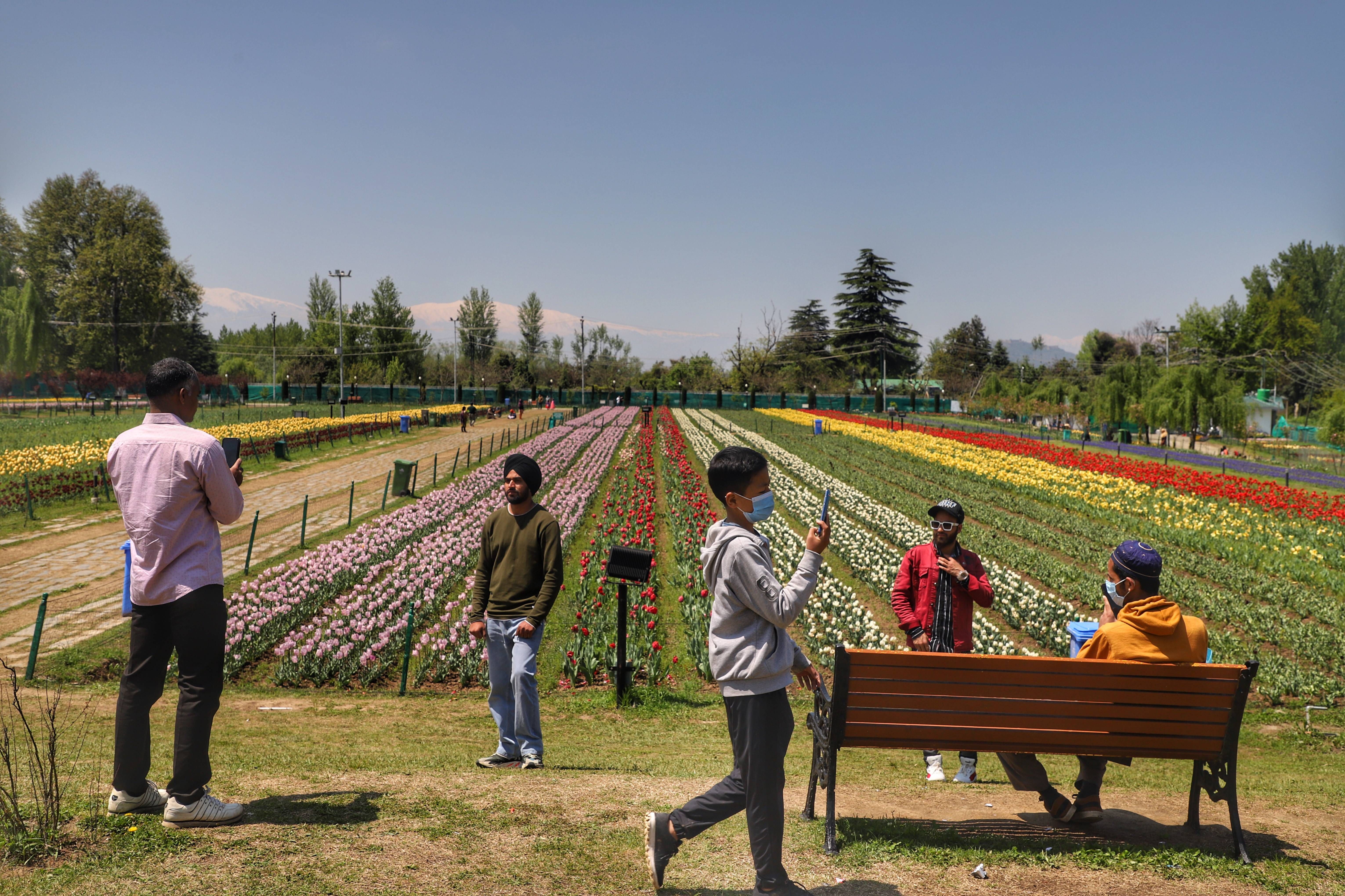 Tourists are seen at Indira Gandhi Memorial Tulip garden in Srinagar, Jammu And Kashmir, India on 24 April 