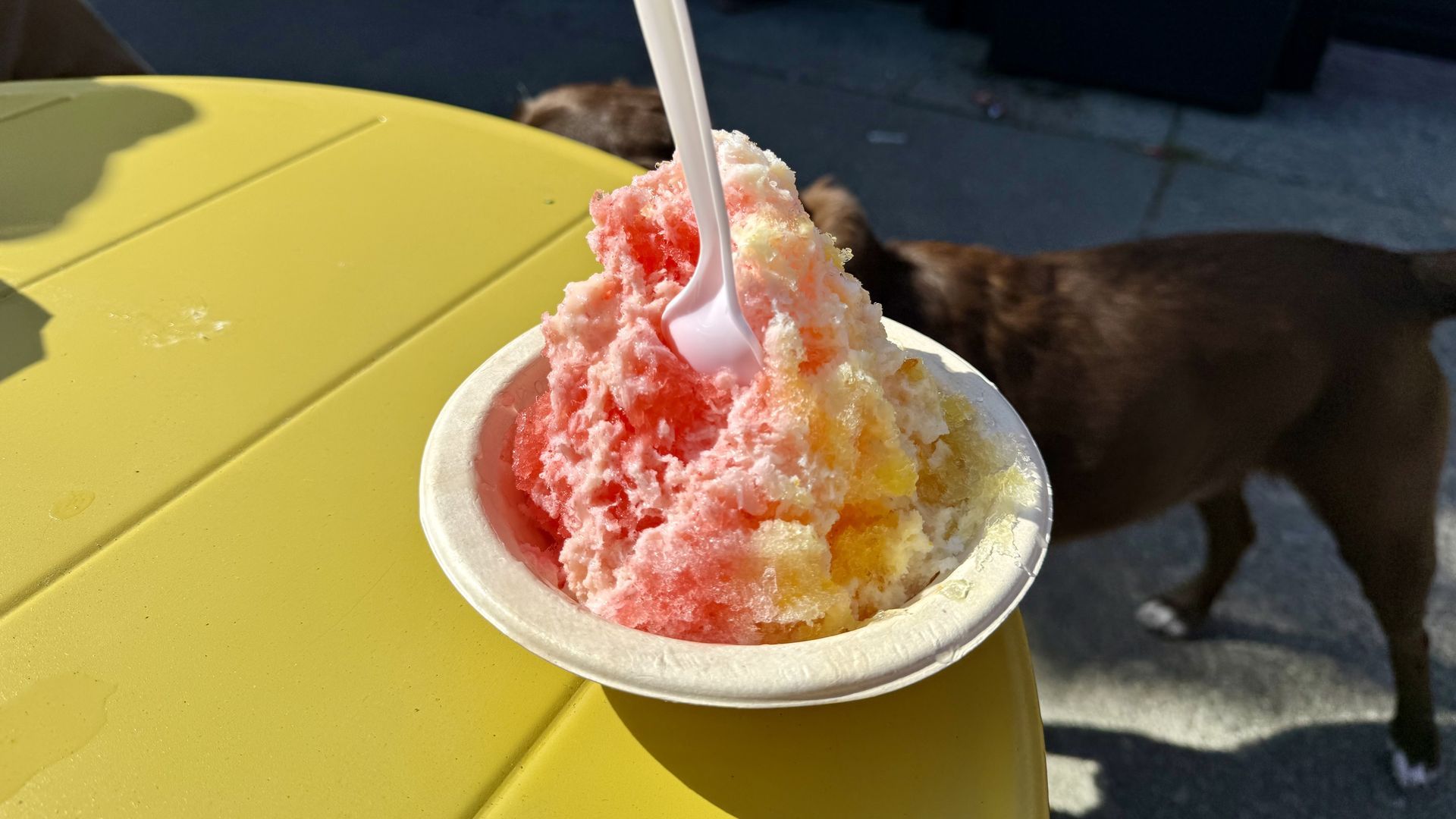 Shaved ice that is pink and orange sitting on a yellow table, with condensed milk on top and a spoon sticking out. A dog that is brown stands on the sidewalk.