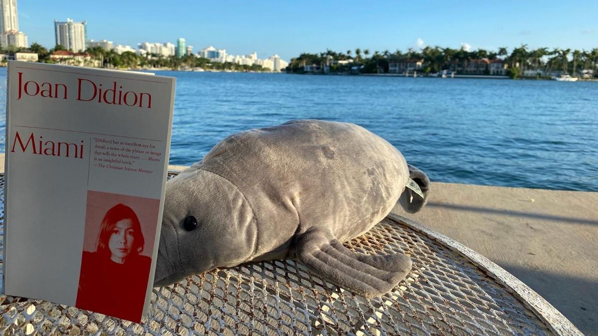 Manny, working remotely