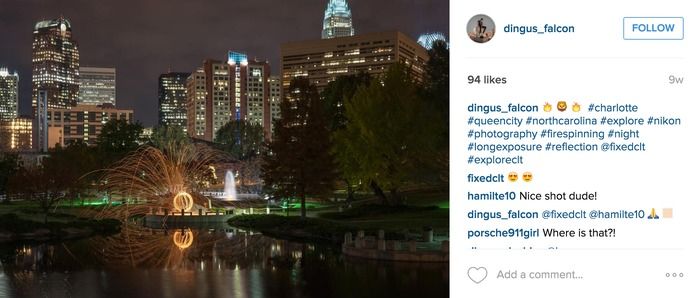 dingus falcon photographer