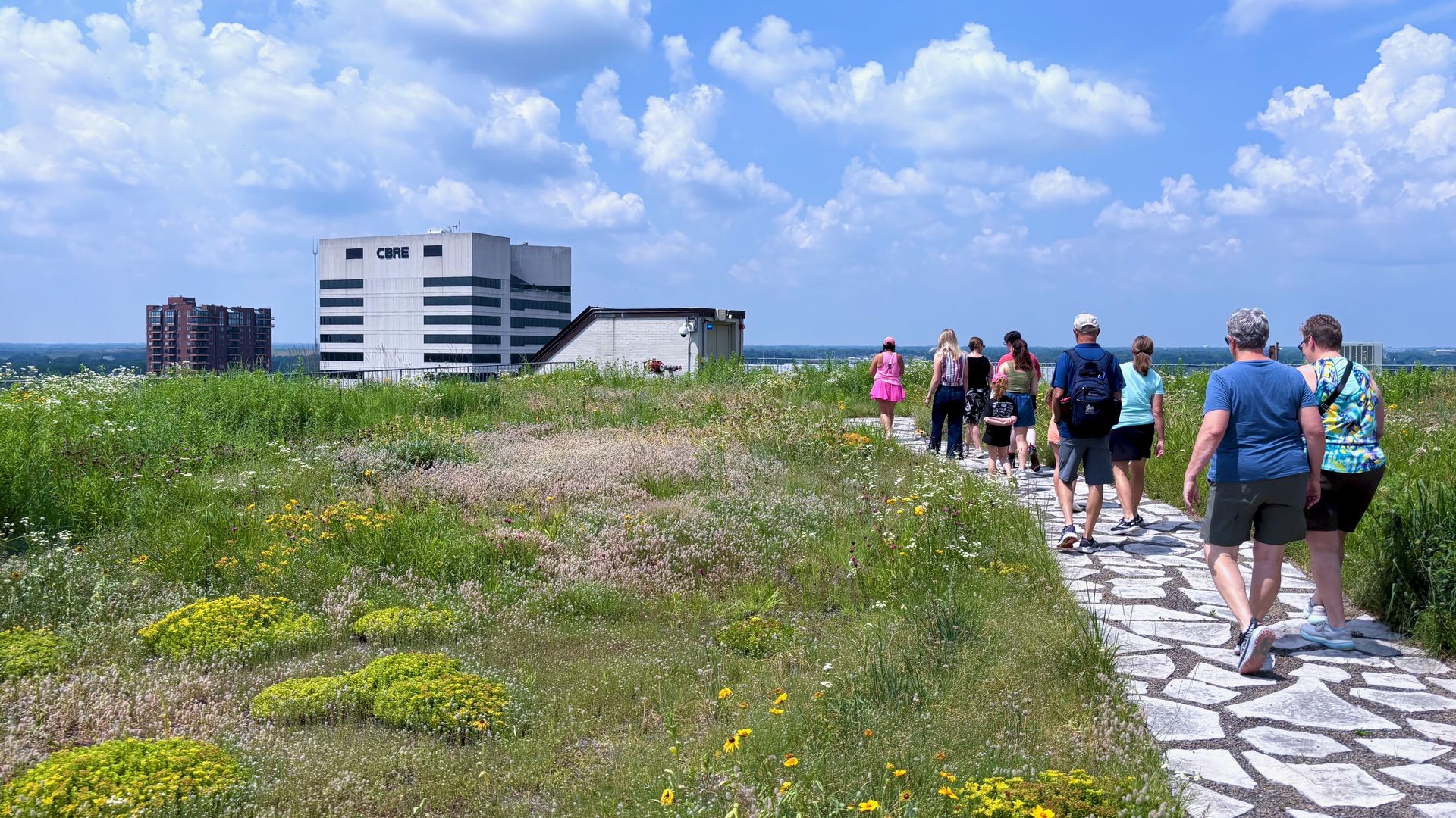 A stone path with a group of walkers on it cuts through a rooftop garden of wildflowers, with a skyscraper that reads "CBRE" in the background of a cloudy blue sky.