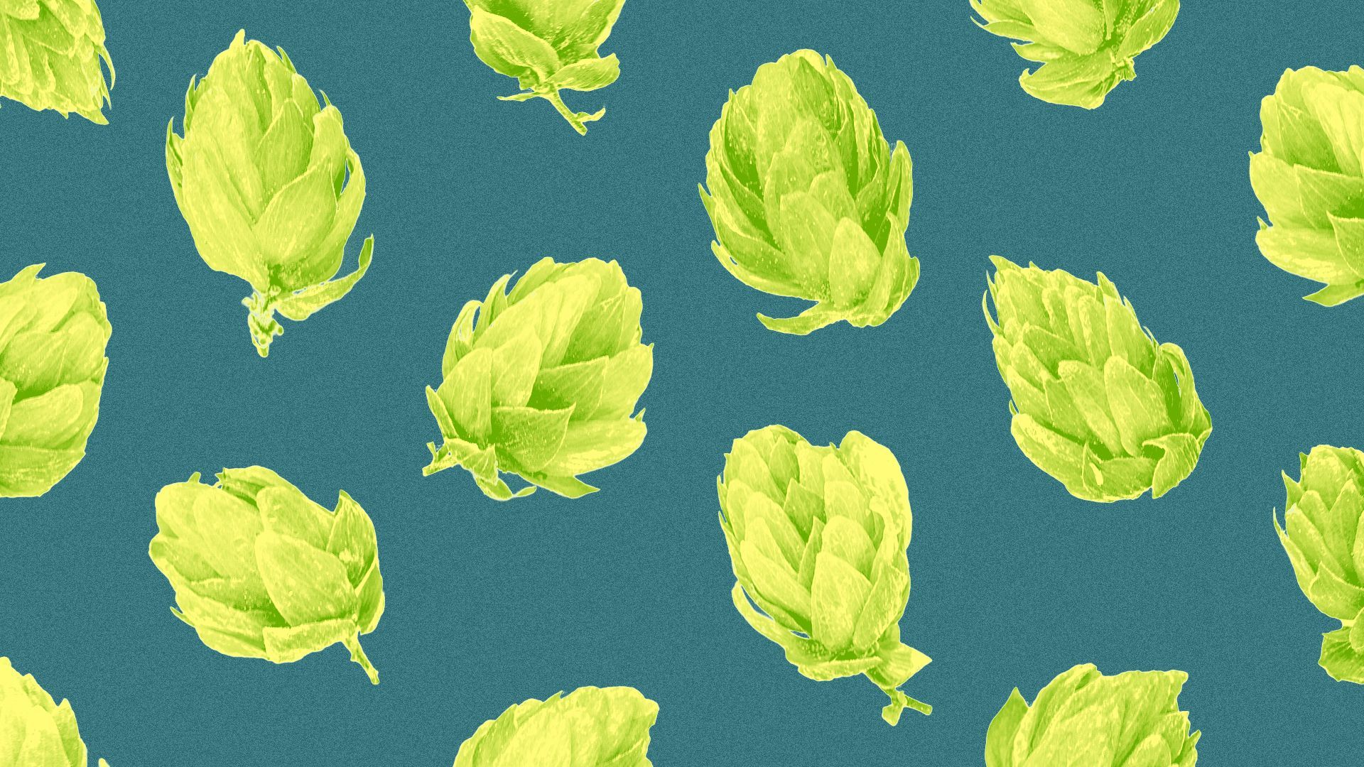 Illustration of a pattern of hops.
