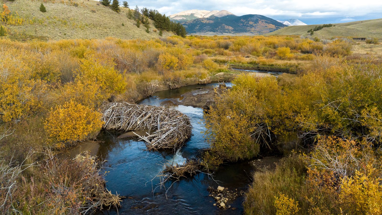 Collard Ranch is Colorado's newest spectacular state wildlife area ...